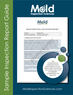 Check Out What a Mold Inspection Report Should Look Like