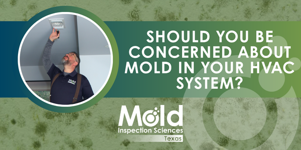 Should You Be Concerned About Mold in Your HVAC System?