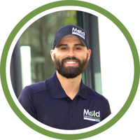 Contact Mold Inspection Sciences