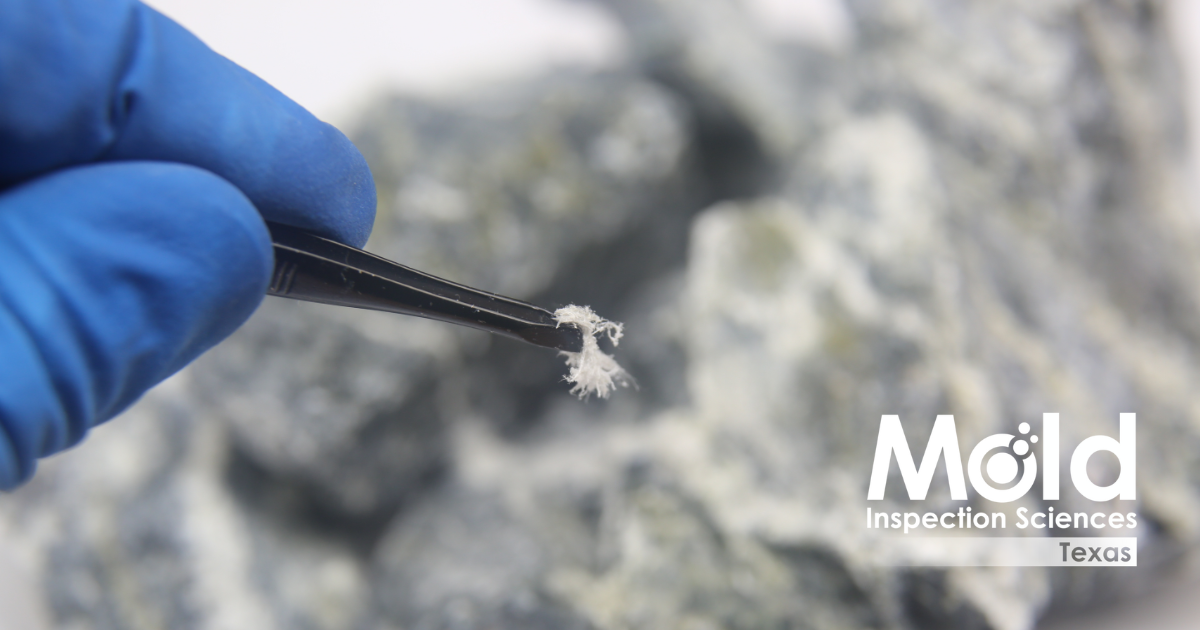 A gloved hand wielding tweezers delicately grasps a small piece of mold against a blurred backdrop. The text reads Mold Inspection Sciences Texas, emphasizing thorough mold assessment and testing services.