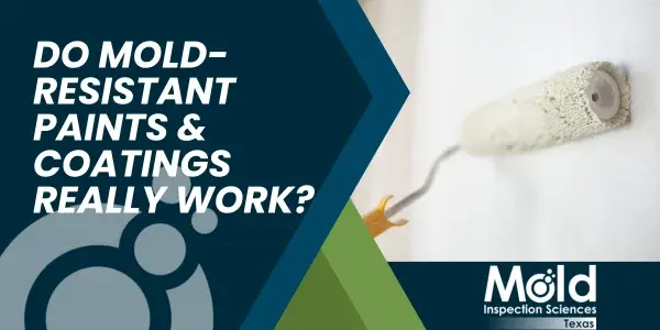 Do Mold-Resistant Paints and Coatings Really Work?