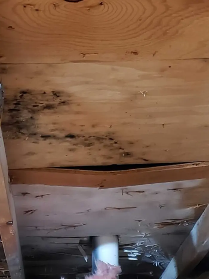 The wooden ceiling shows visible water damage and mold, with blackened areas indicating a need for assessment. The wood appears slightly warped, revealing some pipes and insulation in the lower part of the image, warranting further inspection or sampling.