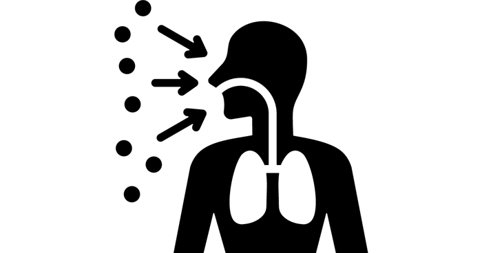 Silhouette of a person inhaling particles, possibly from mold, into the respiratory system. Arrows indicate how these particles move towards the nose and mouth, highlighting the process of breathing or air intake for further assessment by health experts.