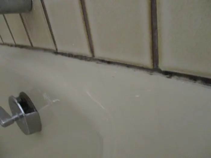 Close-up of a bathtub with beige tiles above it. An inspection reveals signs of black mold or mildew in the caulking between the tub and tiles. A metal control knob is partially visible on the left, hinting at a need for further investigation into moisture issues.