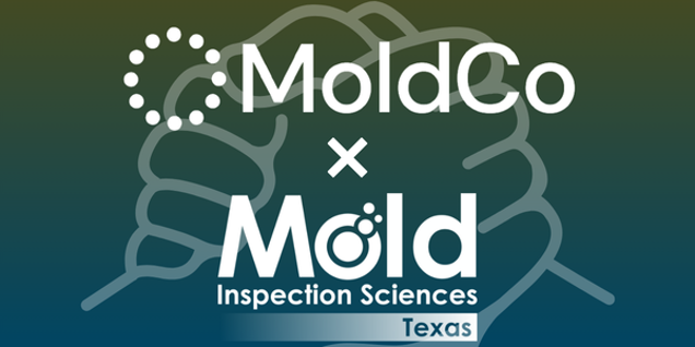 Logo of MoldCo and Mold Inspection Sciences Texas with a handshake illustrated in the background, symbolizing partnership in mold assessment and inspection.