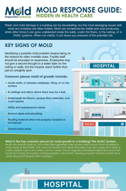 Download Our Free Mold Response Guide