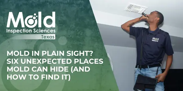 Mold in Plain Sight Six Unexpected Places Mold Can Hide