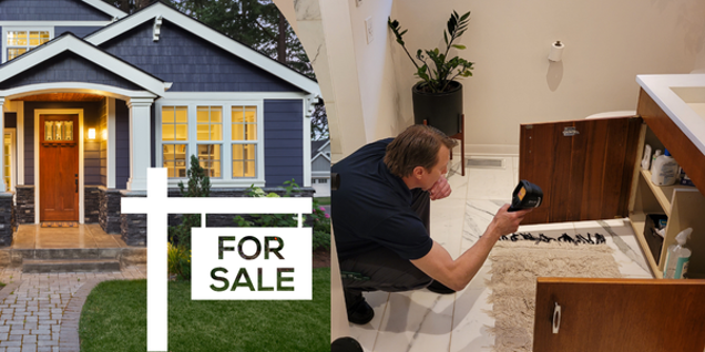 A house with a For Sale sign in front, where a person is using a flashlight to inspect for mold under the bathroom sink.
