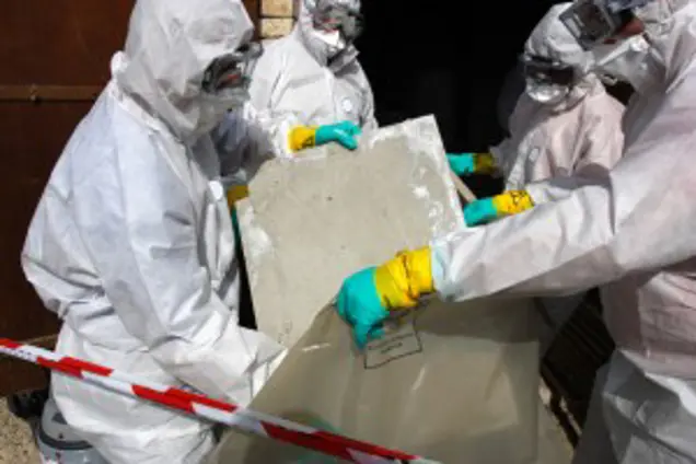Four people in protective suits conduct a careful inspection, handling a large sheet of material and placing it into a bag. They wear masks, goggles, and gloves. A red and white safety tape is in the foreground, suggesting a mold-related hazardous material scenario.