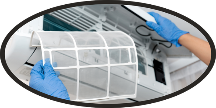 Person wearing blue gloves removing and cleaning a white air filter from a wall-mounted air conditioning unit during a mold inspection.