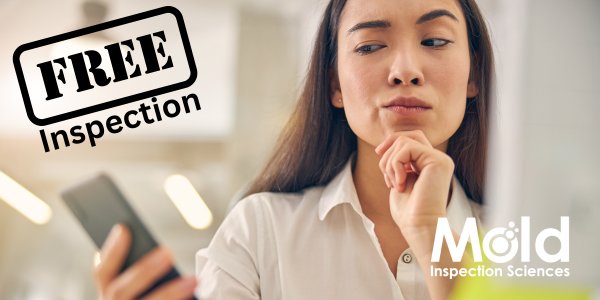 Are Mold Remediation Companies Scamming Homeowners