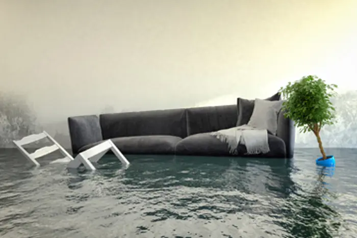 A surreal scene of a living room submerged in water, with a dark gray sofa, white chair, and potted plant drifting on the surface. Curious patterns of mold are forming on the floating items as the walls and curtains remain visible above the waterline.