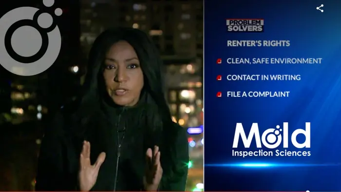 On a TV news segment titled Problem Solvers, a person discusses renters' rights, emphasizing the importance of a clean, safe environment and the necessity of contact in writing and filing complaints. Mold Inspection Sciences highlights how mold inspection and testing are crucial for maintaining healthy living conditions.
