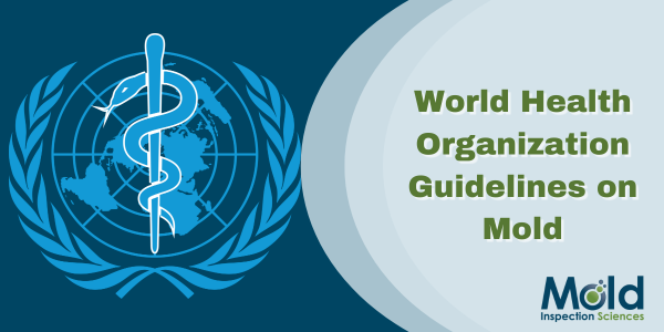 World Health Organizations Guidelines on Mold and Moisture
