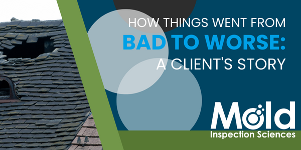 How Things Went from Bad to Worse: A Client's Story