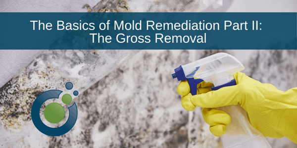 The Basics of Mold Remediation – Part II of III – Gross Removal of Mold Growth and Impacted Materials