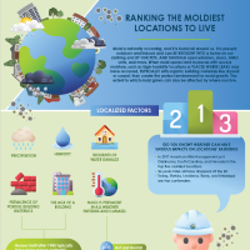 Wondering how weather, climate, and location impact mold growth?
