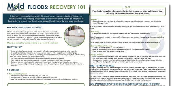Get Our Guide to Flood Recovery 101