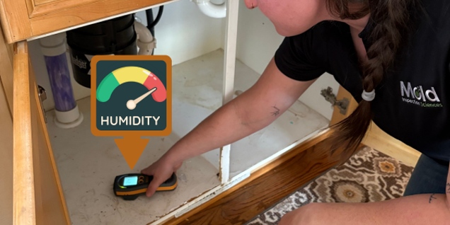 A person uses a handheld device for mold testing to measure humidity under a kitchen sink. An illustrated gauge labeled humidity points to a high level. The person wears a black shirt with a Mold logo, highlighting the importance of regular inspection.