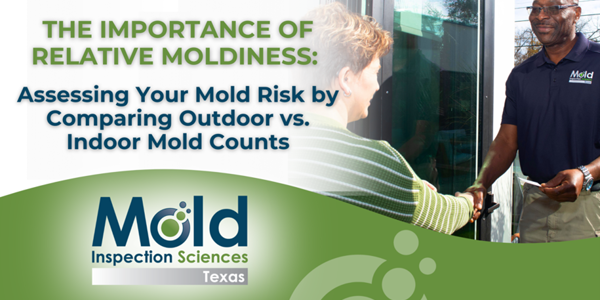 What is Relative Moldiness?