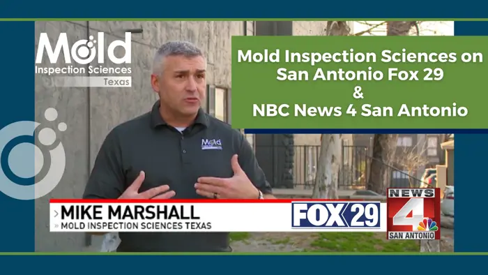 A man stands outdoors speaking, wearing a dark polo shirt with a Mold Inspection Sciences Texas logo. A banner highlights their expertise in mold assessment on San Antonio Fox 29 & NBC News 4. The Fox 29 and News 4 logos are featured on the bottom right.