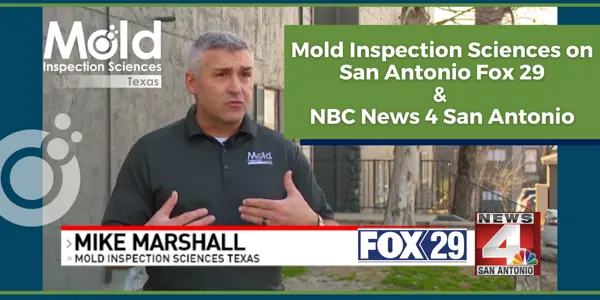 In the News: Fighting Mold Problems in Your Home with Mold Inspection Sciences