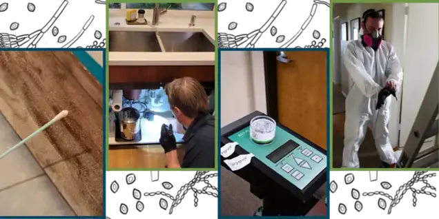 Four images: sampling a dirty surface with a cotton swab, a worker inspecting under a sink, a device displaying assessment readings with labeled samples, and a person in protective gear preparing for inspection.