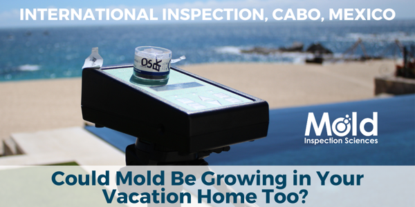 Could Mold Be Growing in Your Vacation Home?