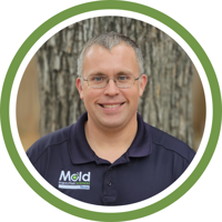 Contact Mold Inspection Sciences