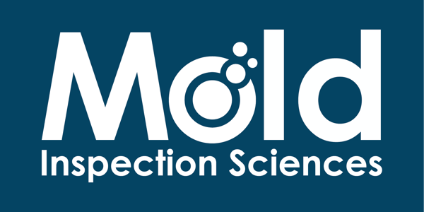 What to look for when choosing a toxic mold inspection company