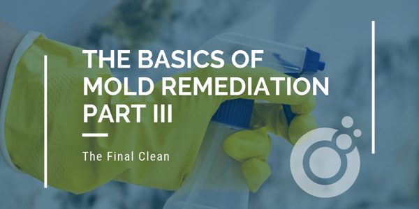The Basics of Mold Remediation – Part III of III - Final Cleaning of the Containment and Affected Areas